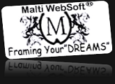 Maltiwebsoft logo